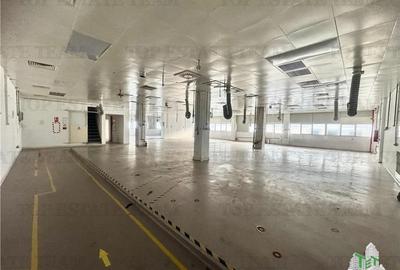 Spatiu industrial de inchiriat Central /  Vitan - 17