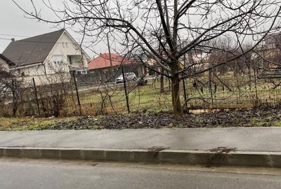 Spațiu comercial, în Paleu - 5