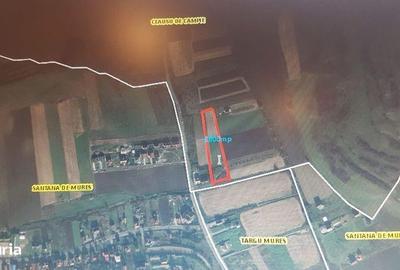 Teren de 6800 mp, în Sântana de Mureș - 2