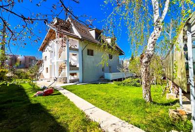 Vila Trivale Pitesti - 15