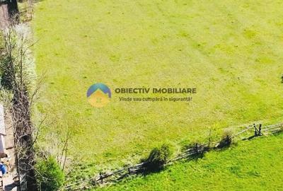 Teren Construcții intravilan de 2000 mp, în Cuejdiu - 6
