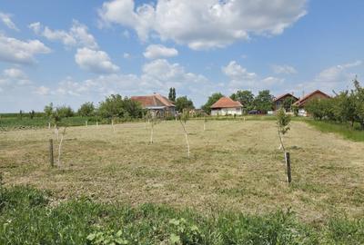 Casa  cu teren de 40 ari in localitatea Gelu - 5