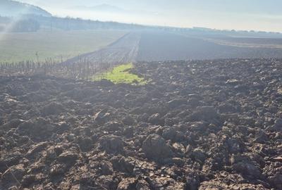 Teren extravilan intrare Bod din Sanpetru pentru investitie sau parcelare - 3