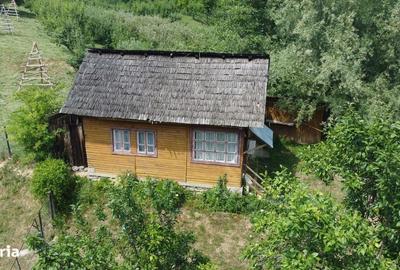 Spațiu comercial, în Cicănești - 12