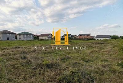 Teren intravilan de vanzare 1000 mp in sat Geamana - 1