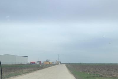 Teren Construcții intravilan de 10000 mp, în Afumați - 8