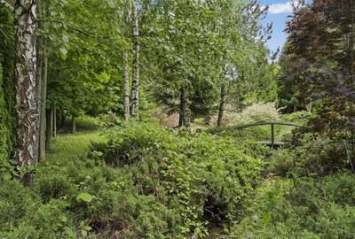 Domeniul Carpați - Vilă cu parc privat si panoramă montană ideal Airbnb/Booking - 39