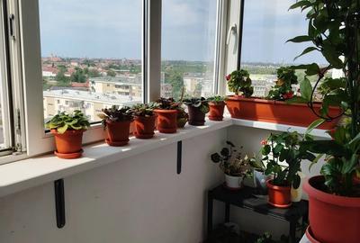 Apartament cu 3 camere decomandat în Aradul Nou - 3