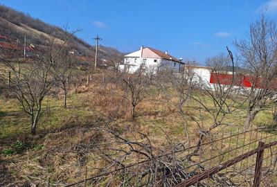 Teren Construcții intravilan de 542 mp, în Eșelnița - 2