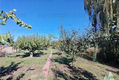 Vila 4+ camere, iaz cu peste, livada, 5300 mp teren, foisor, pivnta si crama, in - 2