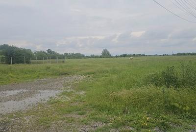 Teren de 47000 mp, în Răcari - 3
