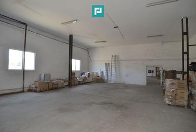 Teren intravilan 6.555 mp cu hală industrială - 4