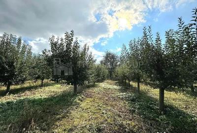 Teren de 2902 mp, în Dămienești - 2