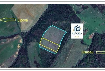 Teren agricol extravilan de 81400 mp, în Nord-Est - 4
