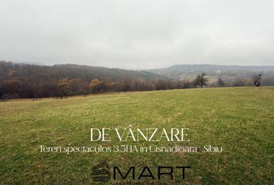 Teren de 35000 mp, în Cisnădioara - 4