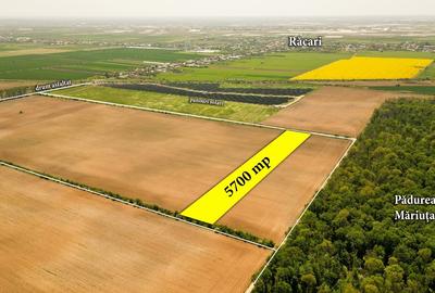 Teren Construcții intravilan de 5700 mp, în Răcari - 5