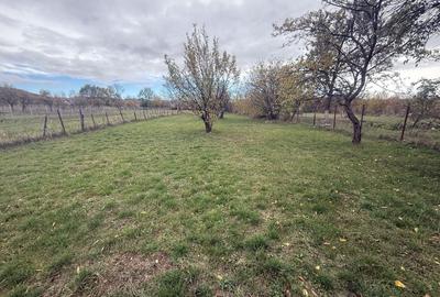 Teren intravilan împrejmuit 2331 mp la strada, toate utilitățile! - 5