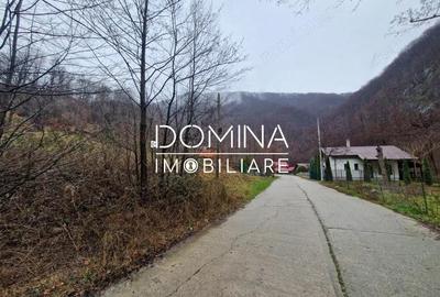 Teren de 4416 mp, în Peștișani - 3