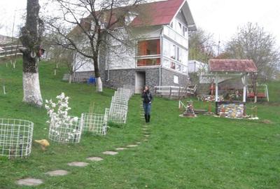 Casă cu Teren 4000 Mp în Central - 6