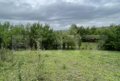 Teren extravilan 5200 mp Budacul de Jos- Investi?ie ex - 1