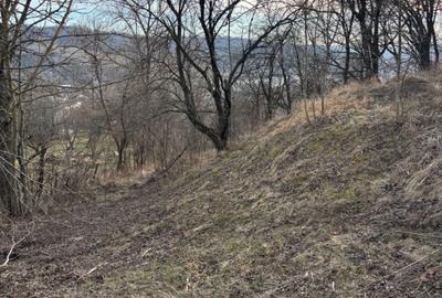 Spațiu comercial, în Central