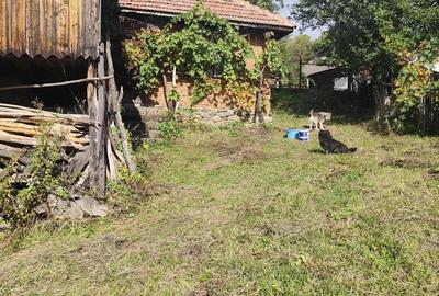 Casa de vanzare batraneasca in Schela jud Gorj Casa de vanzare batraneasca in Schela jud Gorj - 4