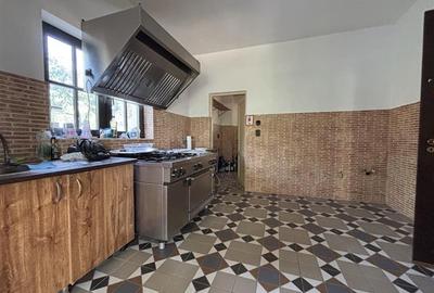 Hotel/Pensiune, de 300 mp, în Paleu - 10