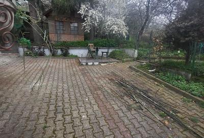 Casă cu 3 camere în Vinerea - 2