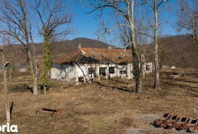 Casă cu 8 camere cu Teren 7235 Mp în Traian Vuia - 20