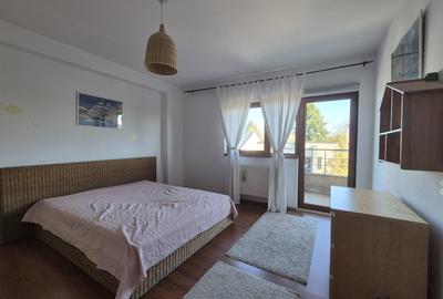Apartament cu 2 camere semidecomandat în Colentina - 15