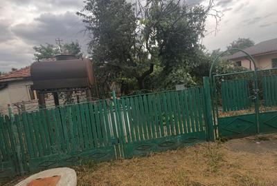 Casă cu 3 camere în Lipia - 2