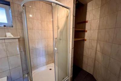 Film&3D! Proprietate cu potential:casa, atelier,domeniu de 2.700 mp:Sanmarghita, - 7