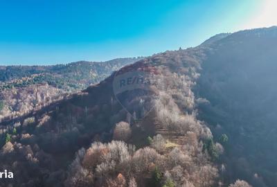 Spațiu comercial, în Schei - 7