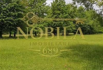 Teren de 5000 mp, în Cerdac - 4