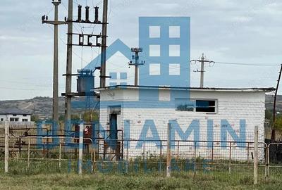 60.000mp Ferma de bovine, pasari, porcine, culturi agricole Diverse - 1