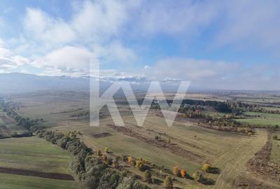 Casa individuala de vanzare 318 mp utili + 571 mp teren Comision 0% Casa individuala de vanzare 318 mp utili + 571 mp teren Comision 0% - 17