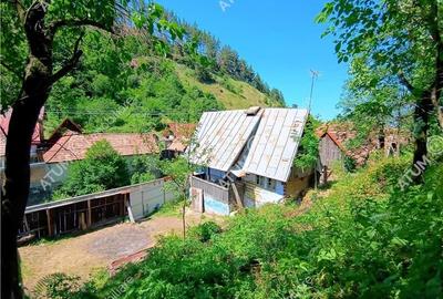 Casa traditionala din lemn cu 930 mp teren in Rasinari langa Sibiu - 13
