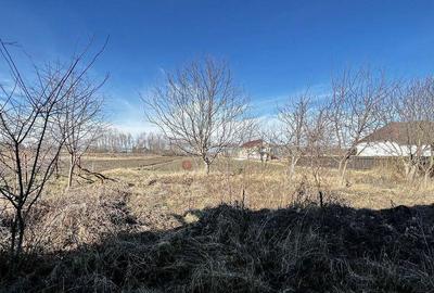 Teren de 6000 mp, în Stupini - 4