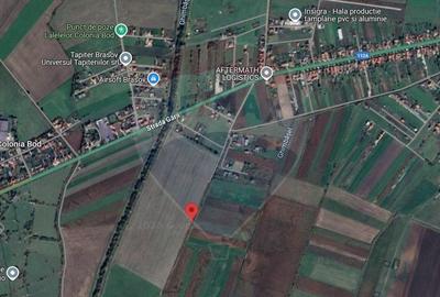 Teren extravilan de vanzare/Bod - 4