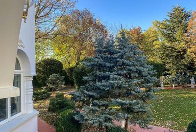 PROPRIETATE CU ENERGIE PURA |  Sanctuarul Eleganței și Rafinamentului - 23