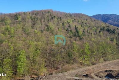 Apartament cu 3 camere în Sud - 12