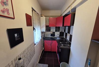 Garsoniera in spate la Penny Obor - 4