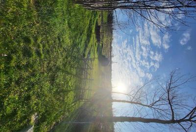 Casă cu 4 camere cu Teren 10700 Mp în Obârșia - 3