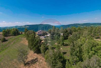 Pensiune de Vanzare cu 8 dormitoare, Risca, Jud. Cluj - 14