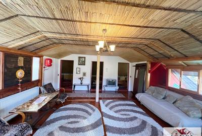 Casa de vacanta cu balta de peste de vanzare in Glogovet (Valea Lunga) - Blaj - 7
