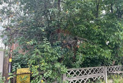 30 arii TEREN INTRAVILAN cu o GOSPODARIE veche - 9