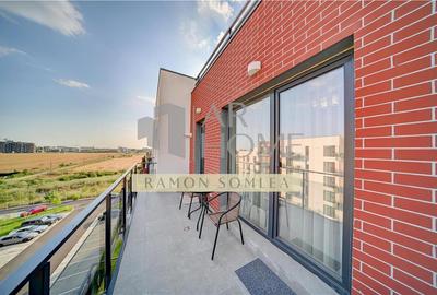 Apartament cu 2 camere semidecomandat în Albert - 9