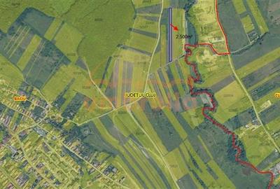 Teren Construcții extravilan de 2500 mp, în Baciu - 4