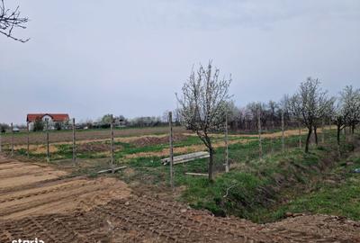 Teren de 1275 mp, în Păulești - 2
