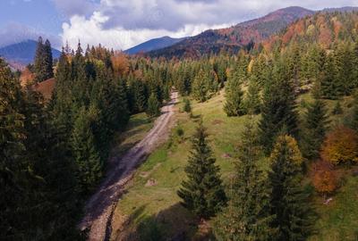 Teren în Colibița - 1